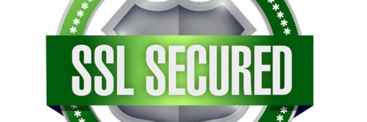 ssl secured seal or shield illustration design over white